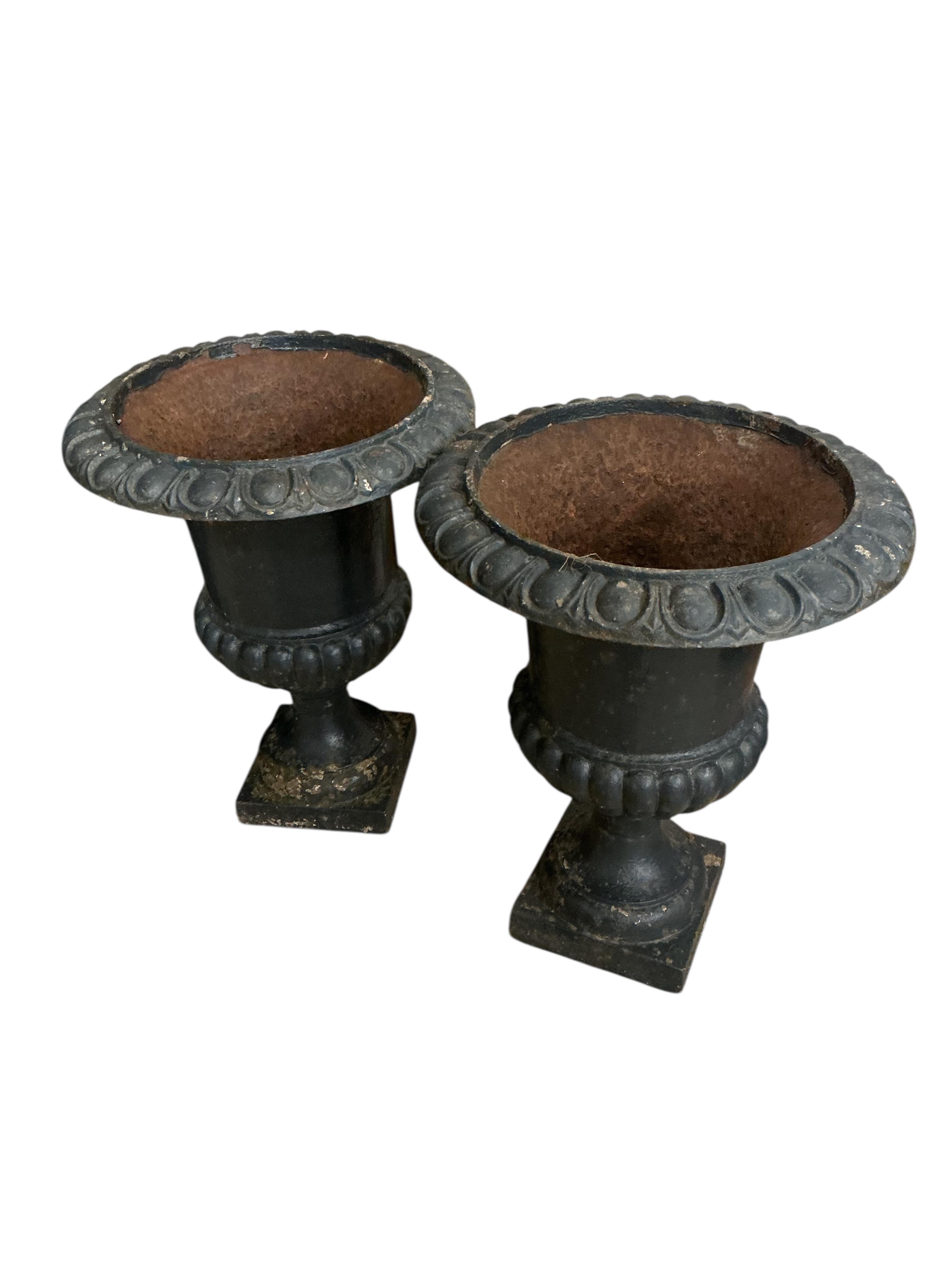 A pair of Victorian style painted cast iron campana urns, diameter 36cm, height 46cm